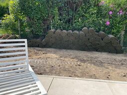 Anlegen von Rasenflächen galerie nachher 25 3.5